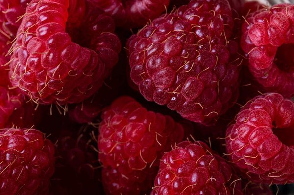 Comment optimiser la conservation des fruits rouges pour les utiliser toute l'année ?